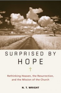 surprised by hope (1)